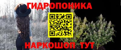 прущие крисы Партизанск